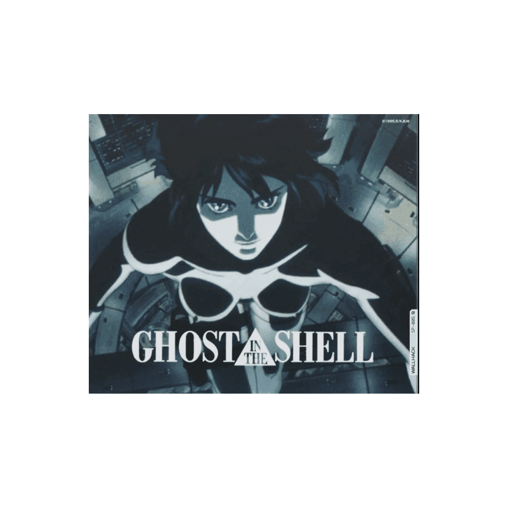 WALLHACK SP-005