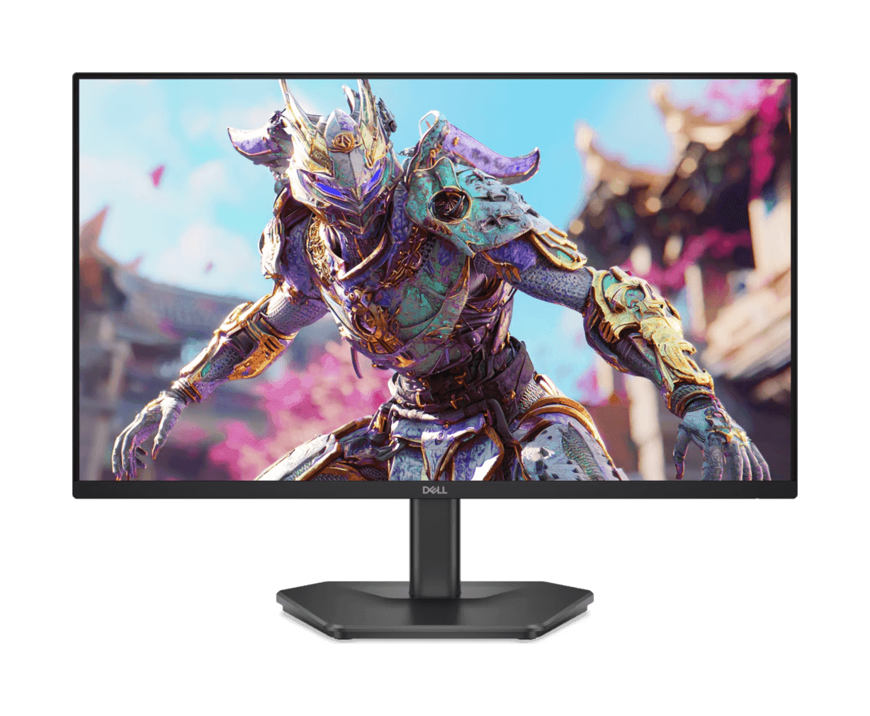 Dell SE2426HG