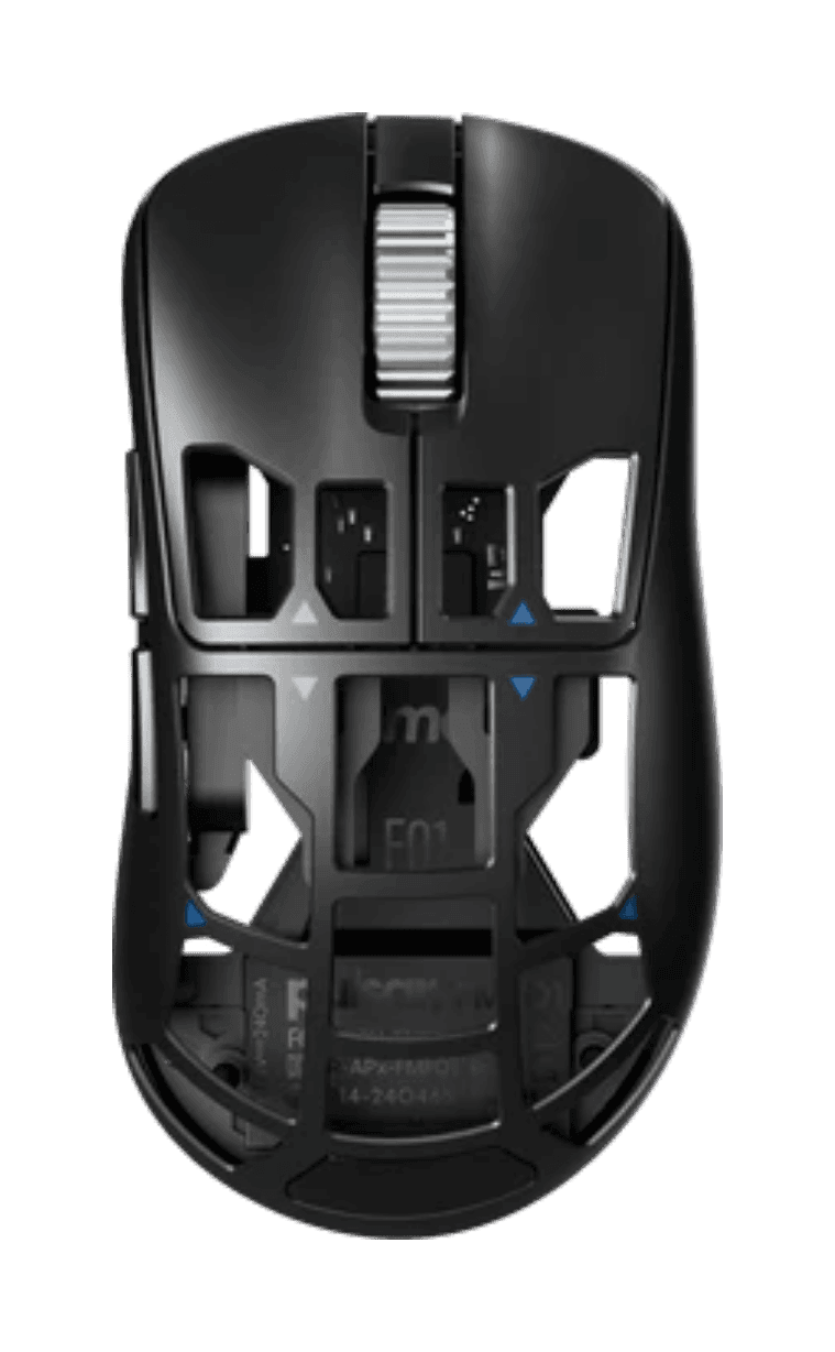 Pulsar Feinmann F01