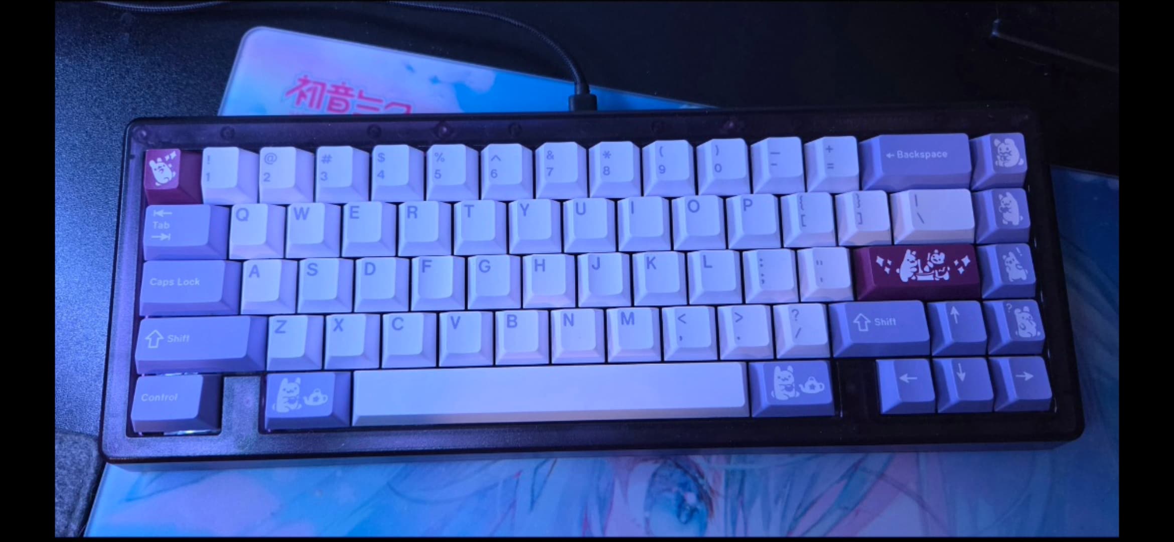 Omnitype Bauer Lite 65%