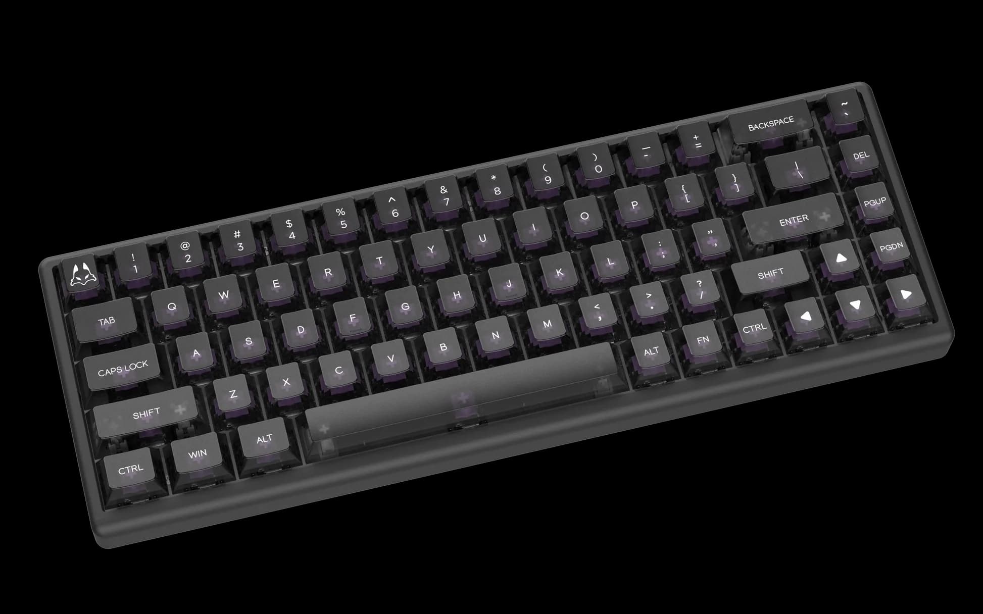 Arbiter Studio Polar 65