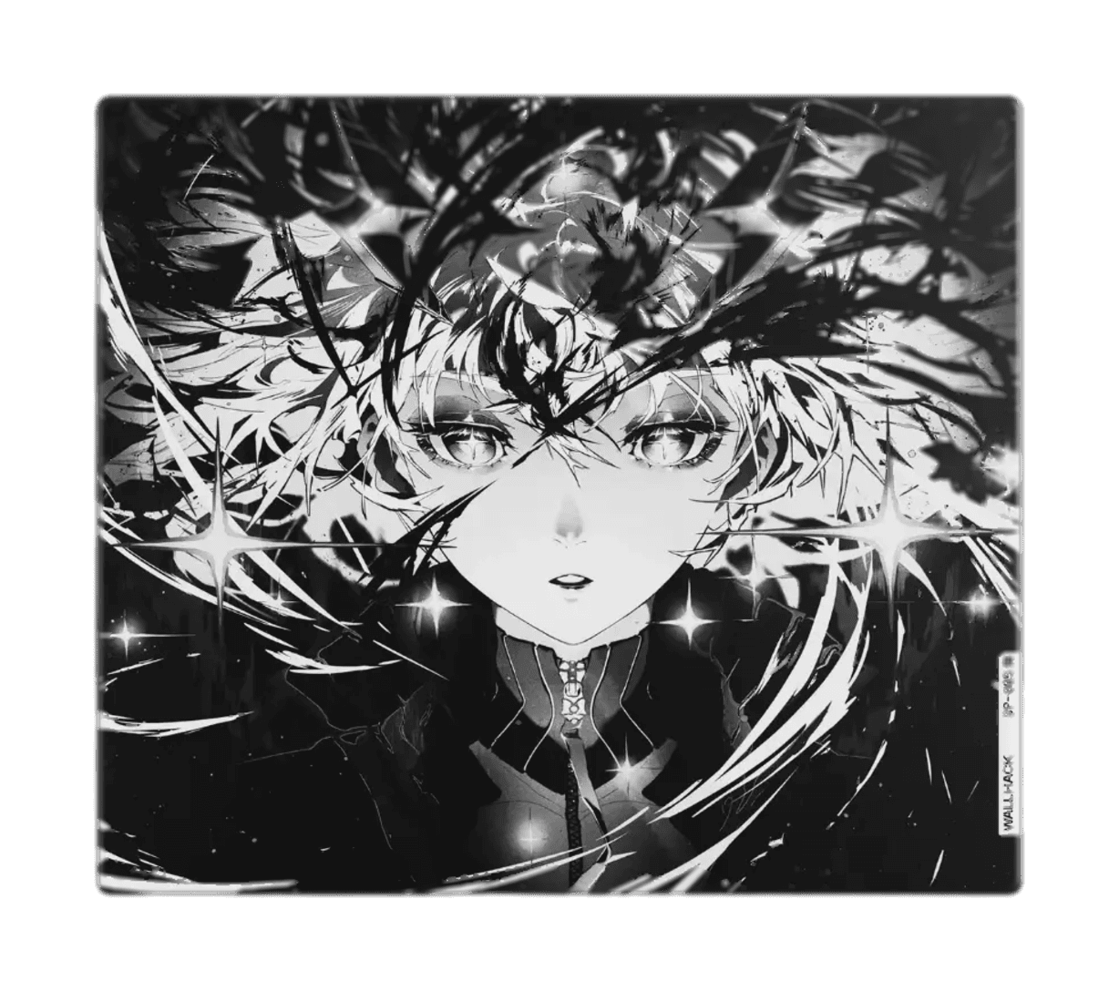 WALLHACK SP-005 Awakening Sora