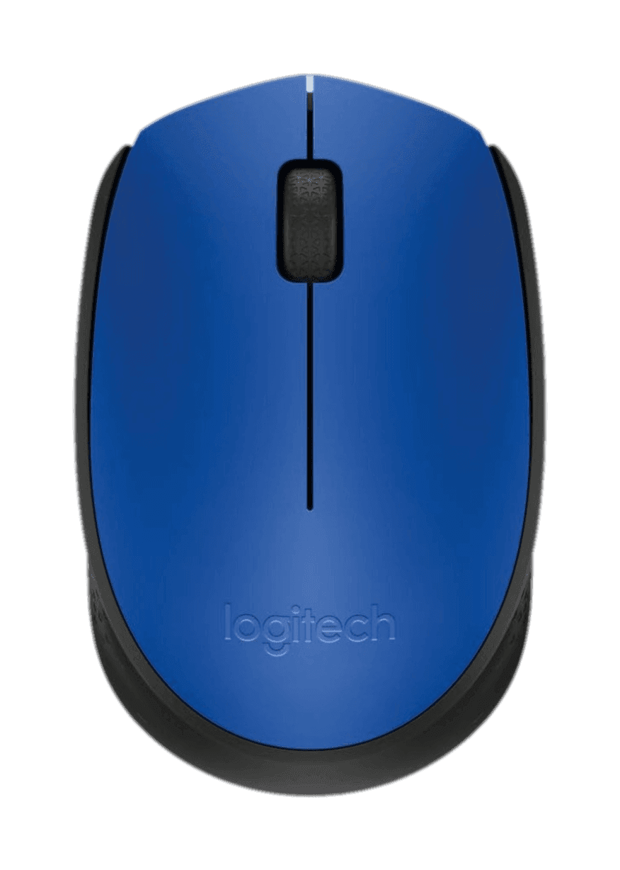 Logitech M170