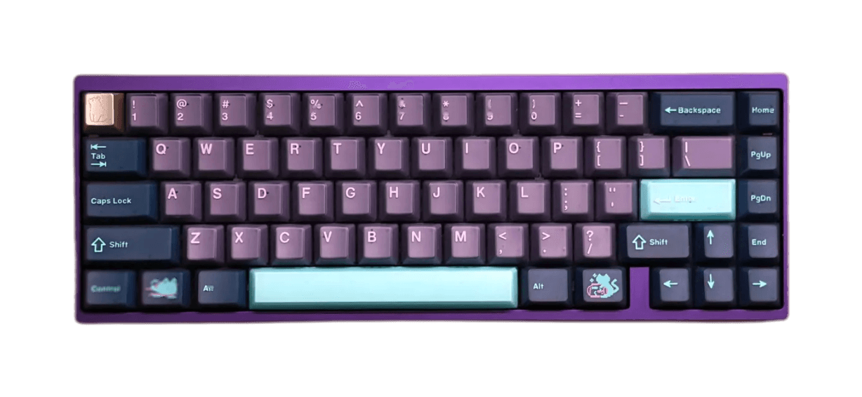 Qwertykeys Neo65 Sonic HE+