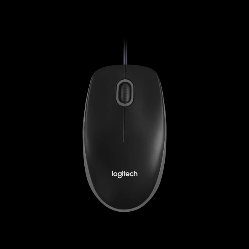 Logitech B100