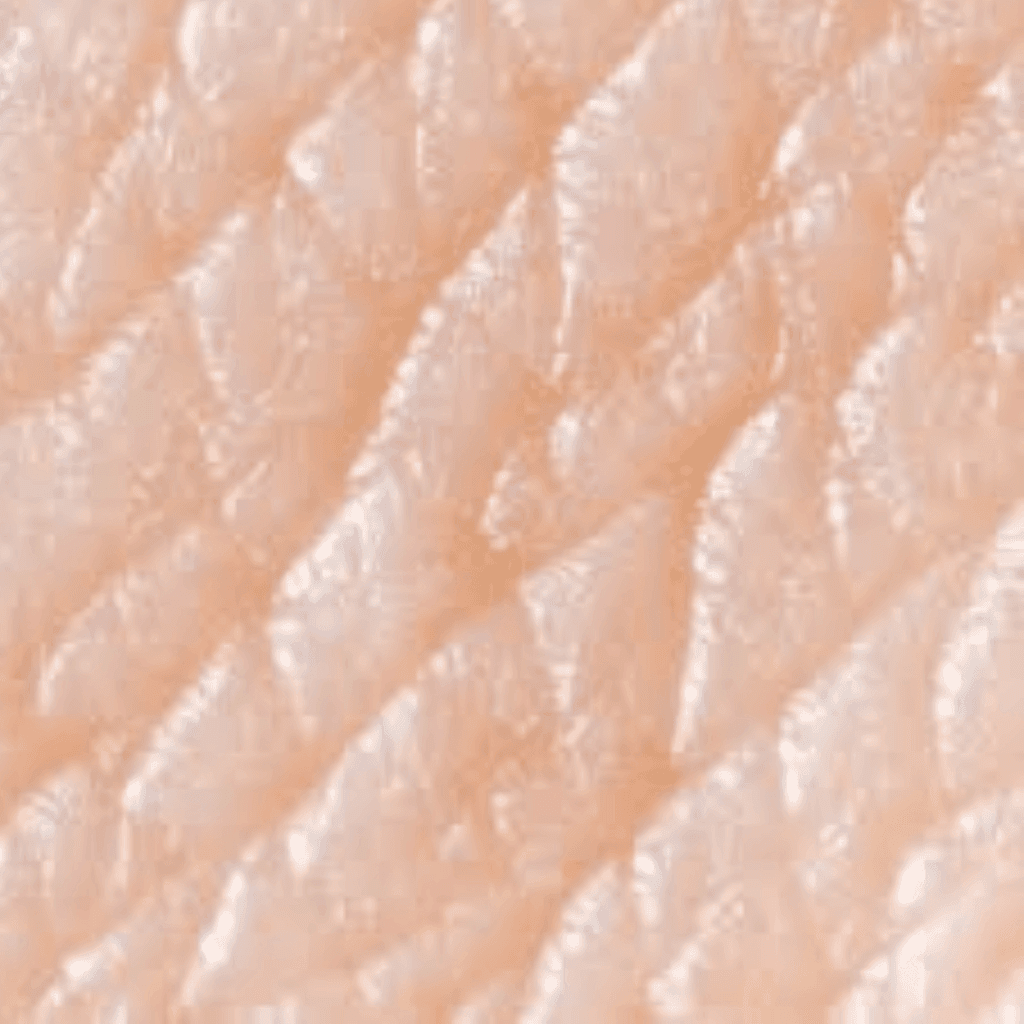 Homo Sapien Human Skin