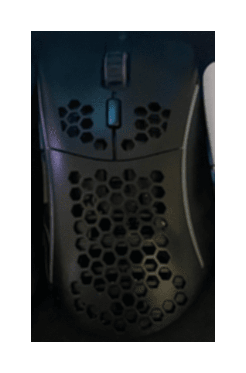 Glorious Model D-