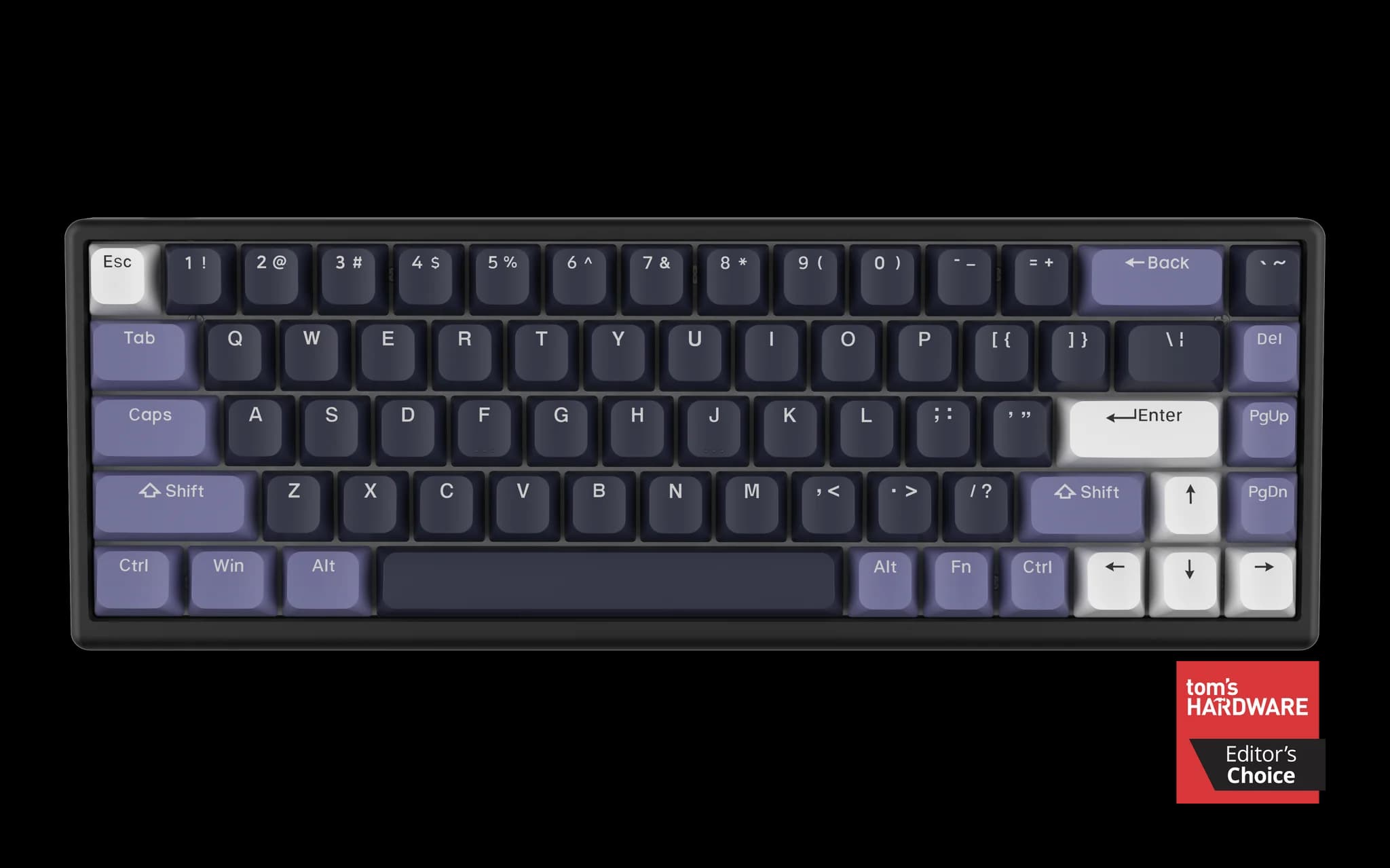 Arbiter Studios Polar 65 HE