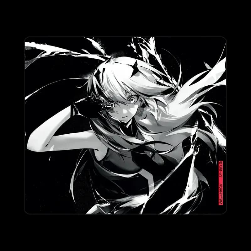 WALLHACK SY-001-Frenzy Sora