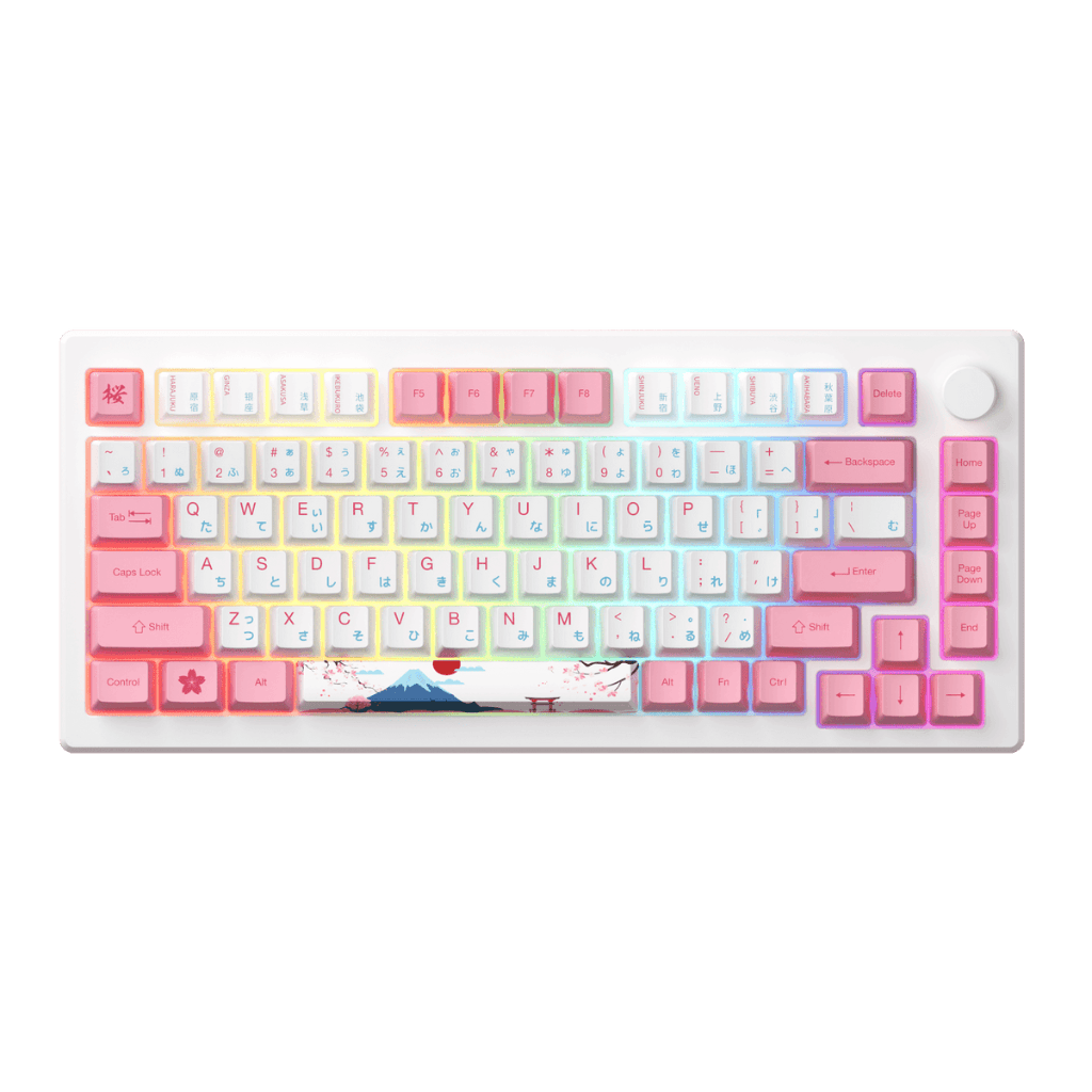AKKO MOD 007B PC Tokyo R2